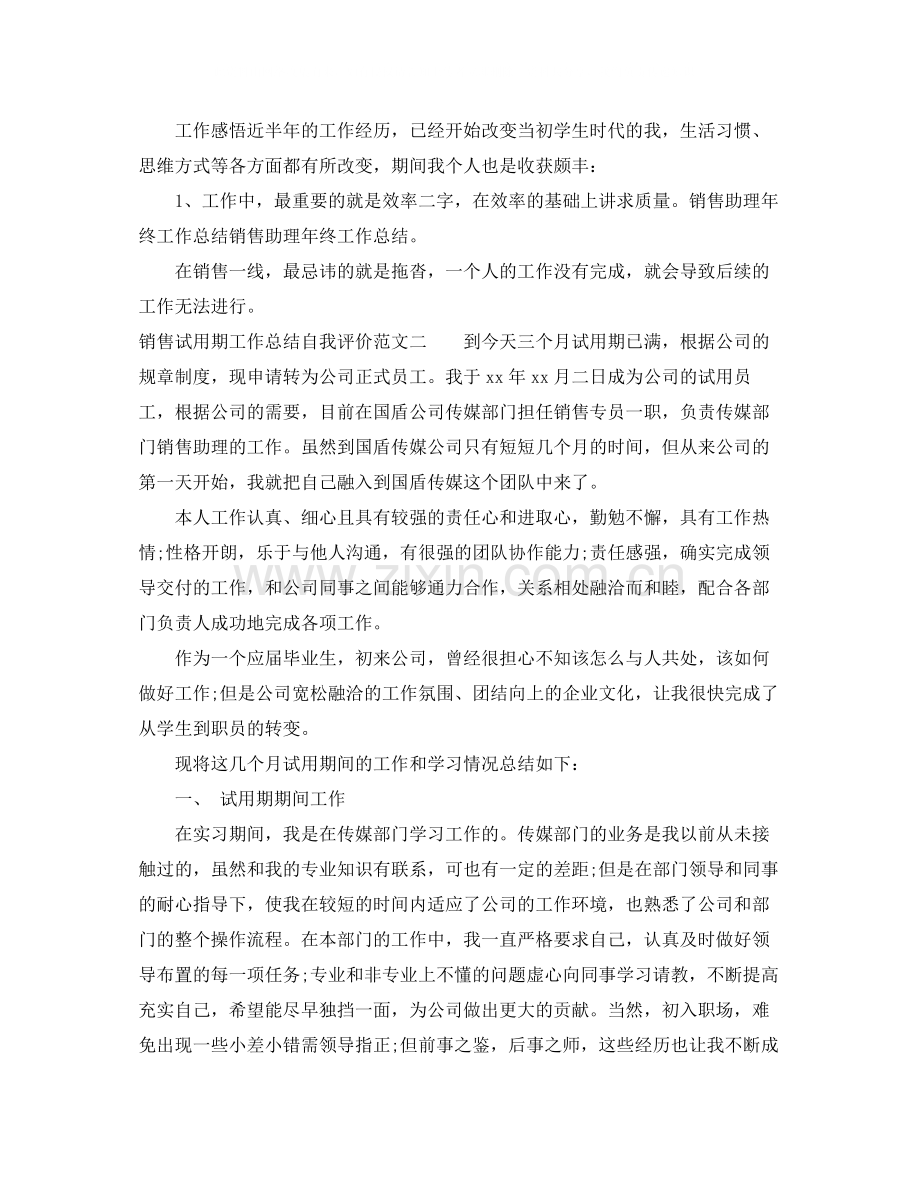 销售试用期工作总结自我评价.docx_第3页