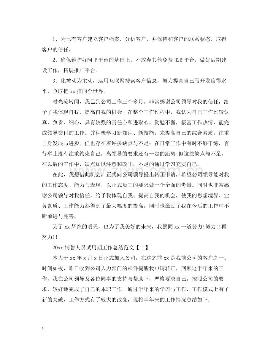 销售人员试用期工作总结范文.docx_第3页