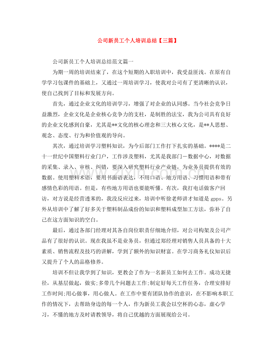 公司新员工个人培训总结【三篇】.docx_第1页