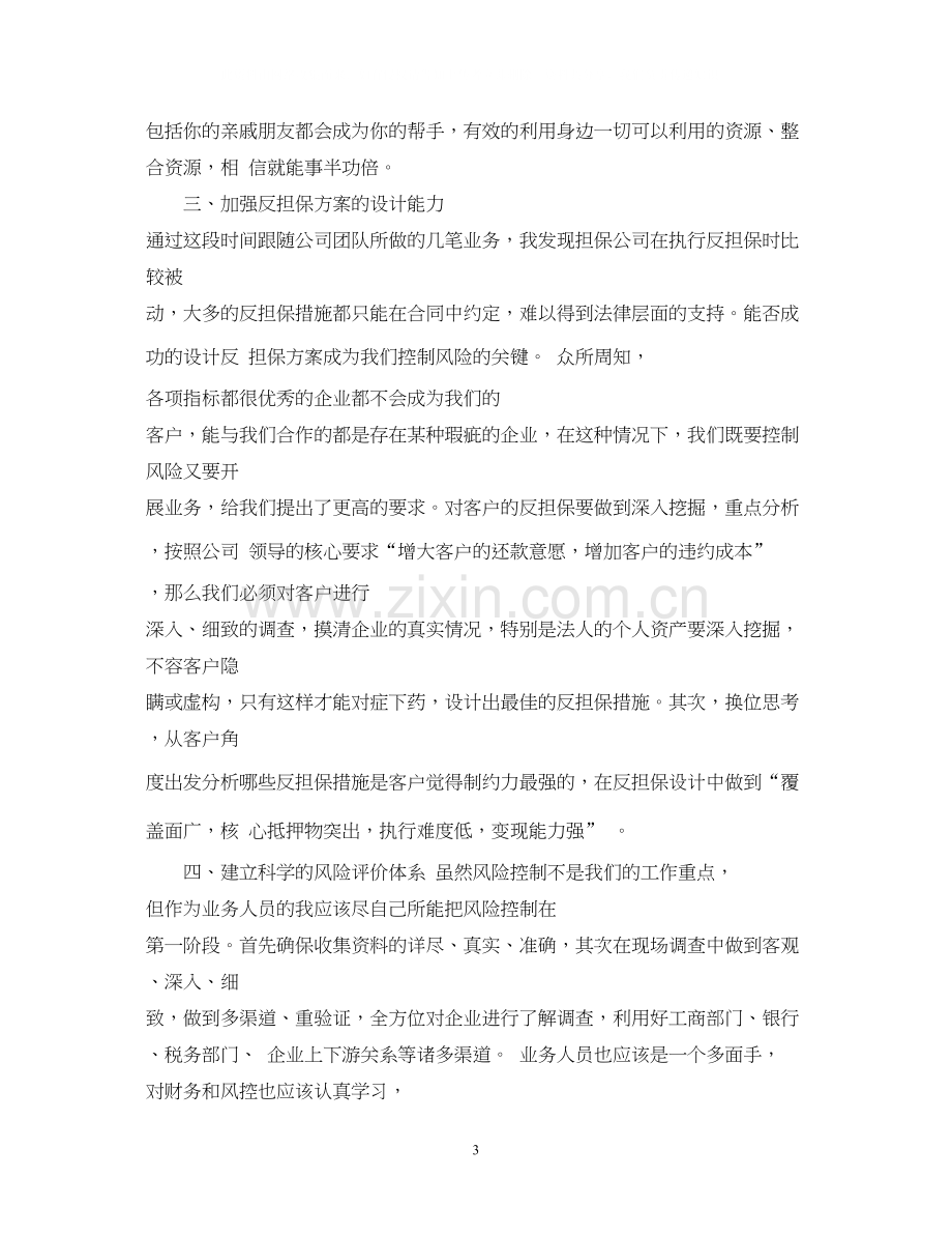 担保公司业务员工作计划范例.docx_第3页