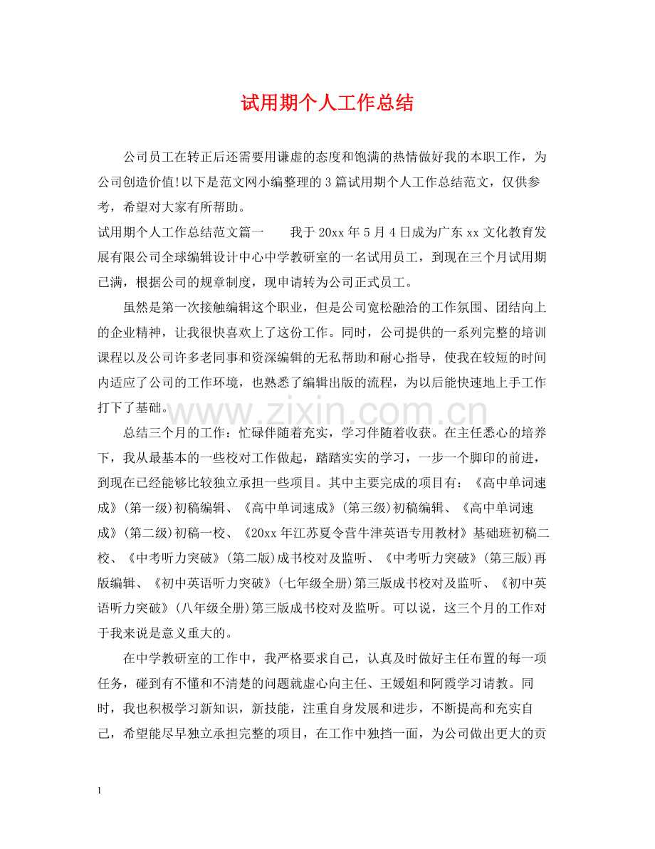 试用期个人工作总结23.docx_第1页