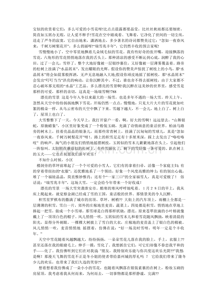 关于下雪的作文400字.doc_第3页