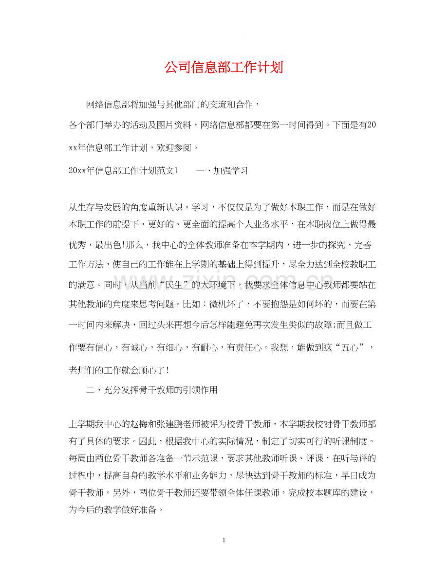 公司信息部工作计划.docx_第1页