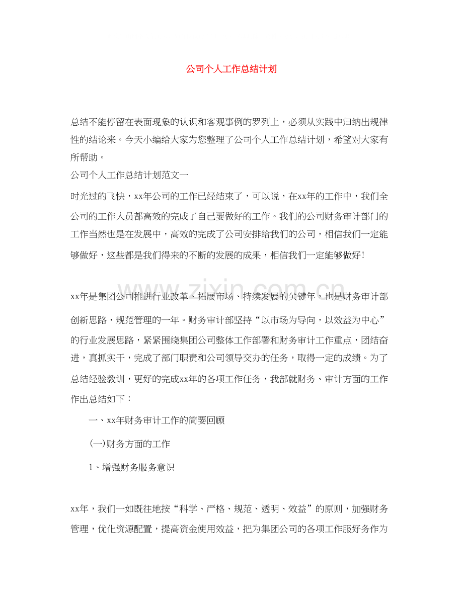 公司个人工作总结计划.docx_第1页