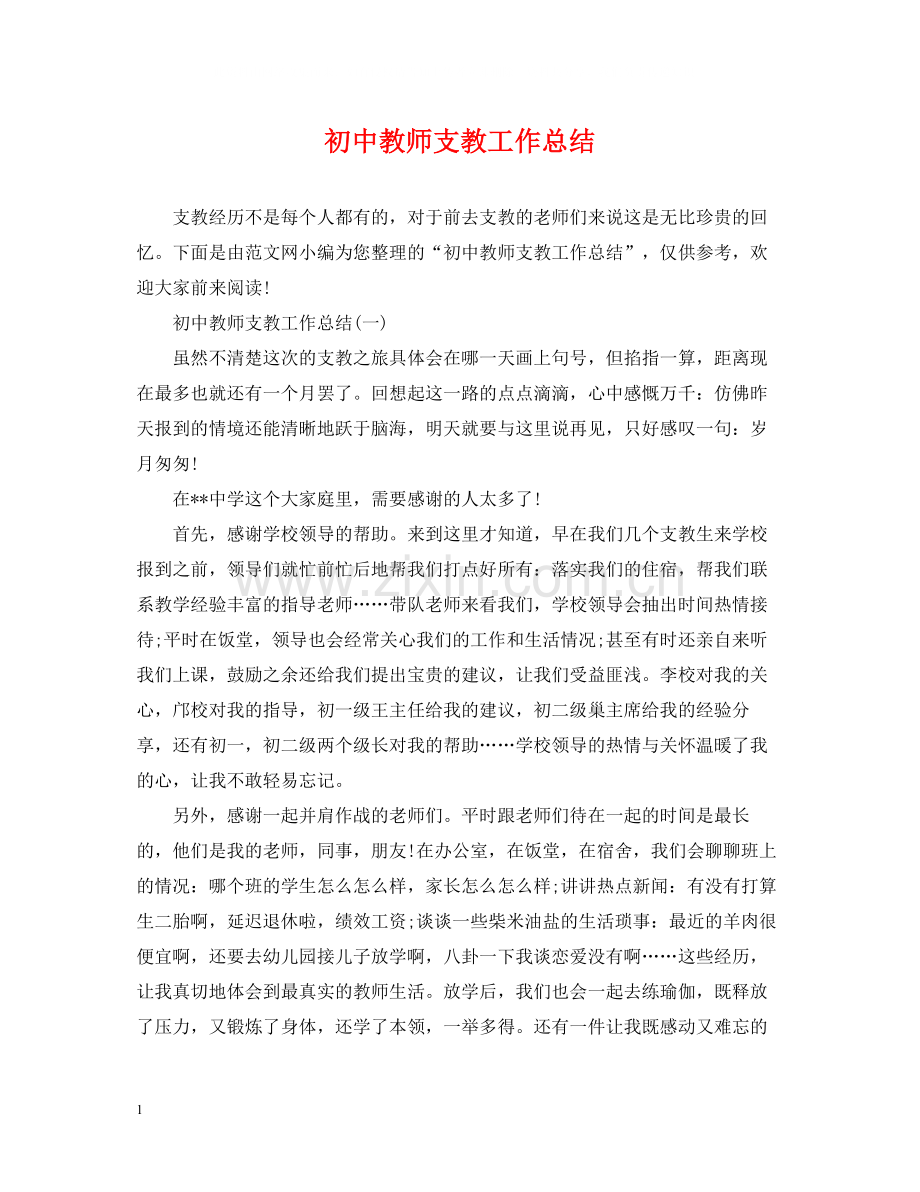 初中教师支教工作总结2.docx_第1页