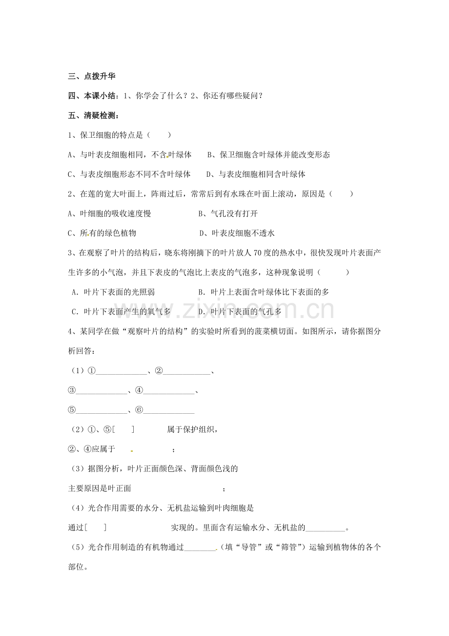 辽宁省辽阳市第九中学七年级生物上册《3.6.2 植物光合作用的场所》学案（无答案） 新人教版.doc_第2页