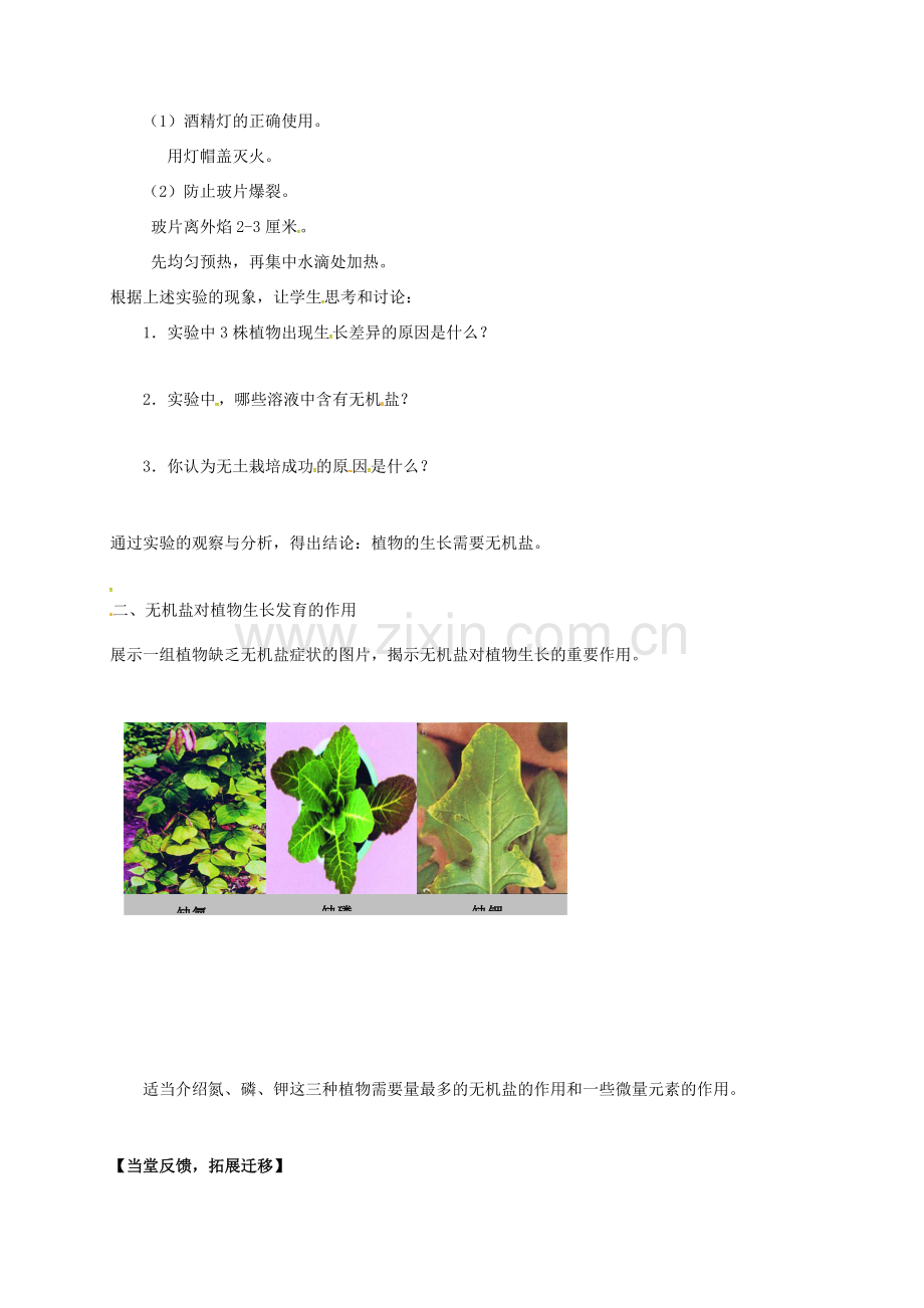 七年级生物上册 4.2 绿色植物的生长需要水和无机盐教案1 （新版）苏科版-（新版）苏科版初中七年级上册生物教案.doc_第2页