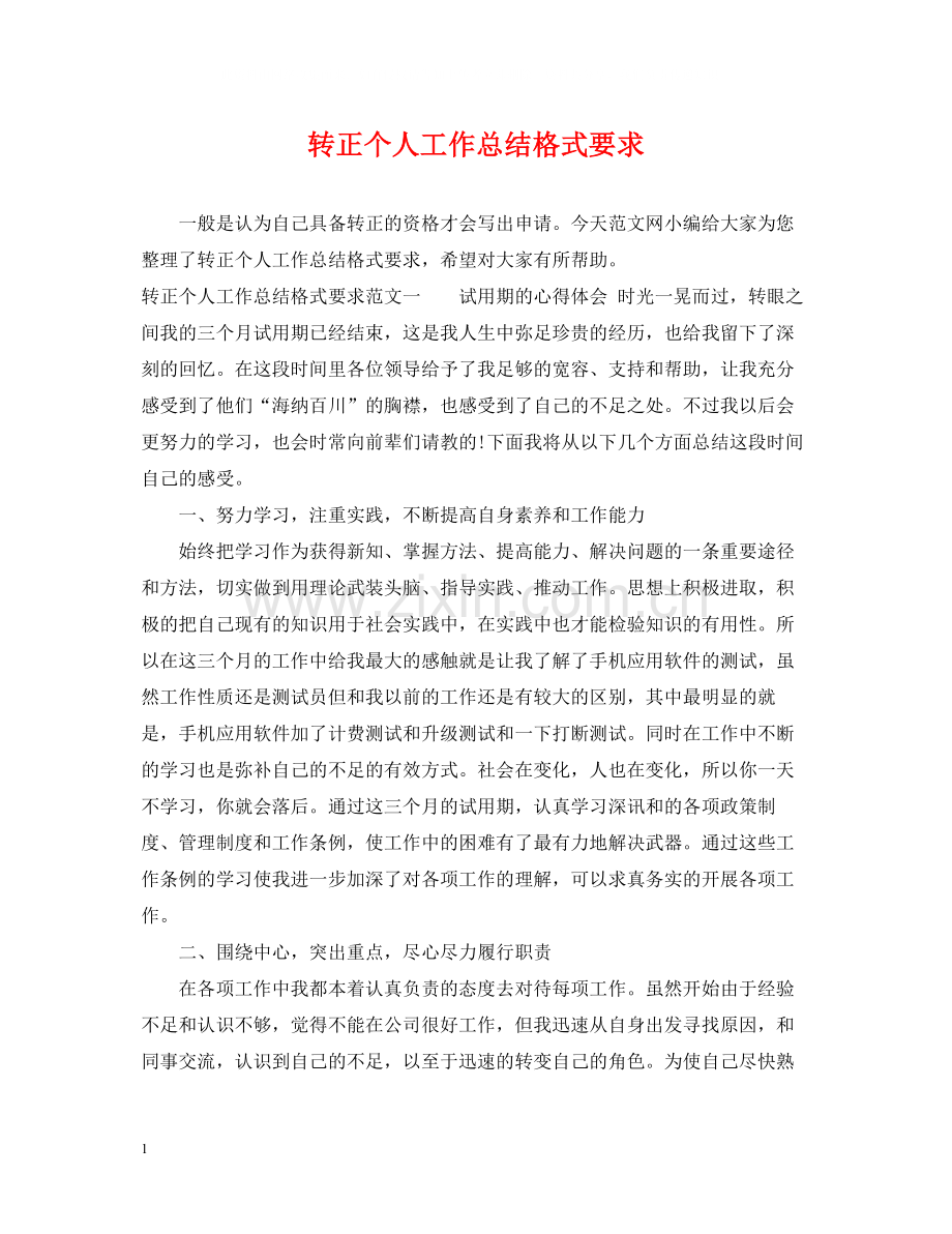 转正个人工作总结格式要求.docx_第1页