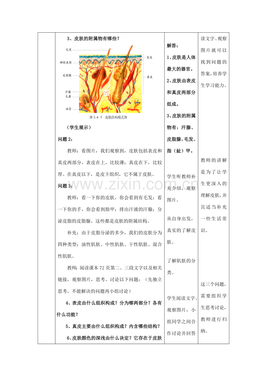 七年级生物下册 第3单元 第4章 第2节 汗液的形成和排出教案2 （新版）济南版.doc_第3页