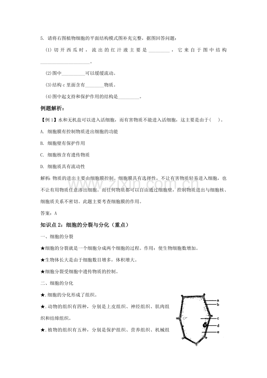 中考生物一轮复习 第二讲严整的生命结构教案 济南版.doc_第2页