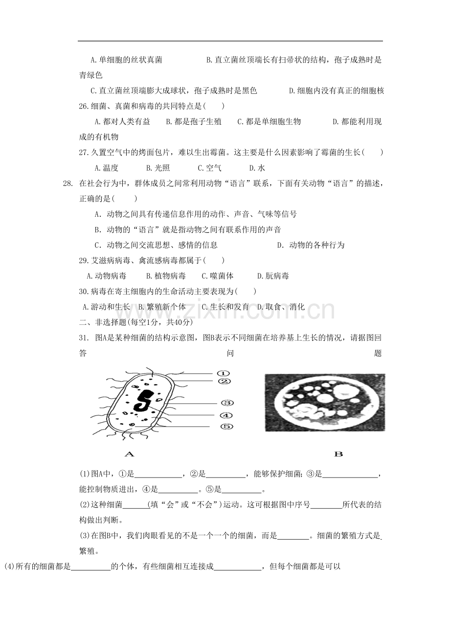 四川省自贡市富顺第三中学校2015-2016学年八年级上学期期中考试生物试题.doc_第3页