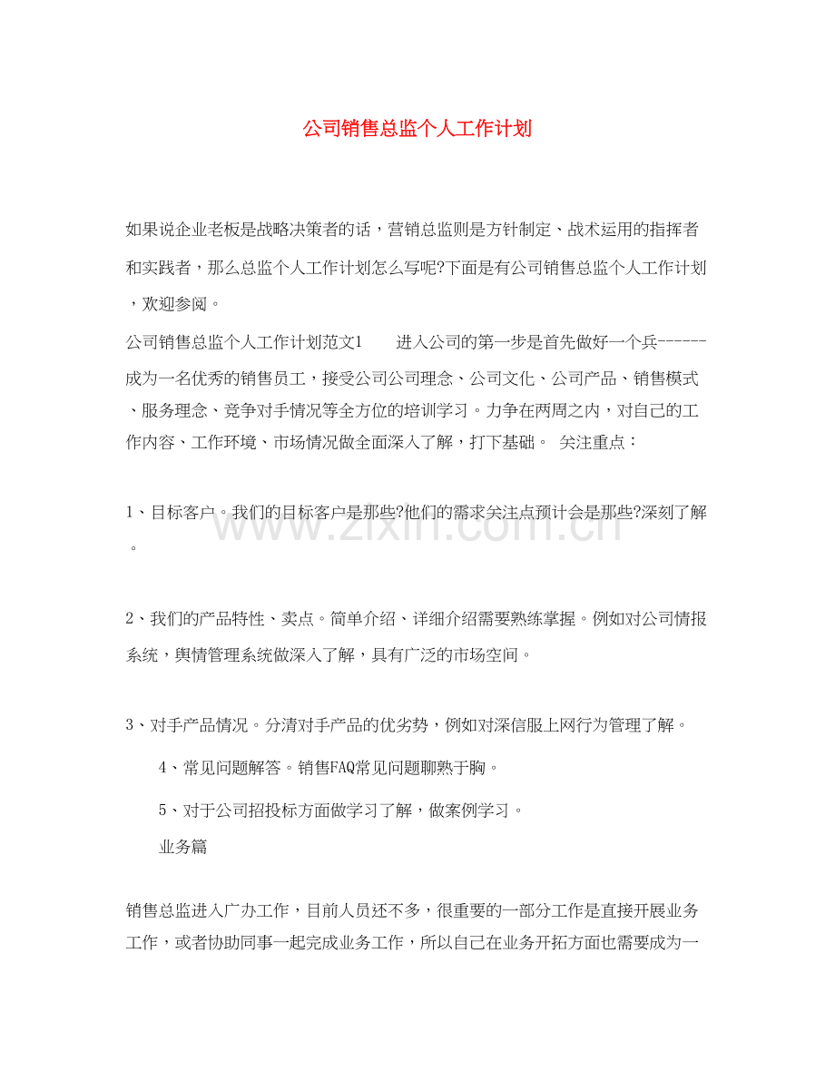 公司销售总监个人工作计划.docx_第1页