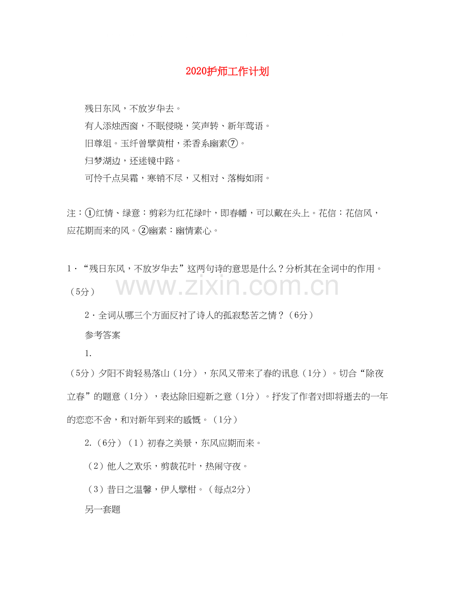 护师工作计划.docx_第1页