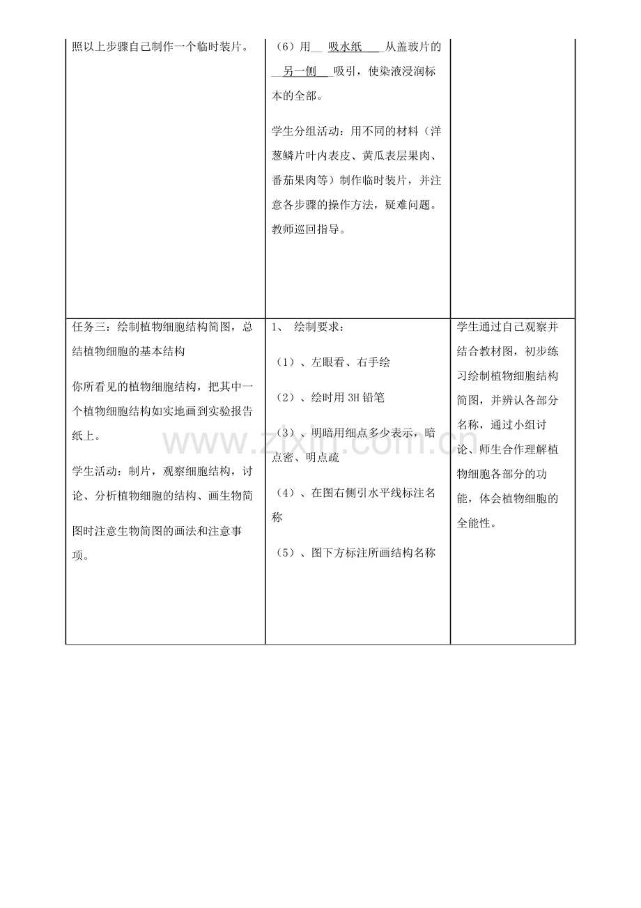 七年级生物上册 第2单元 第1章 第2节 植物细胞教案 （新版）新人教版-（新版）新人教版初中七年级上册生物教案.doc_第3页