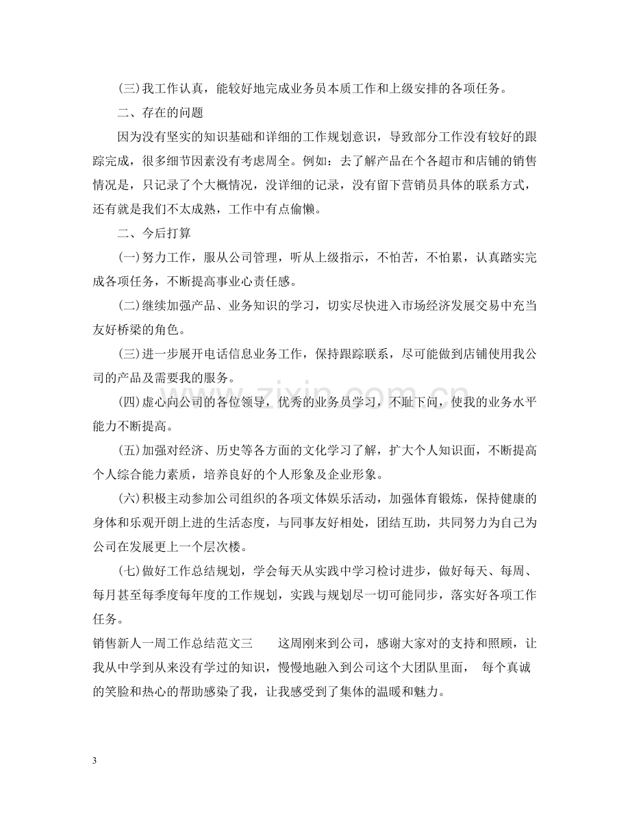 销售新人一周工作总结.docx_第3页