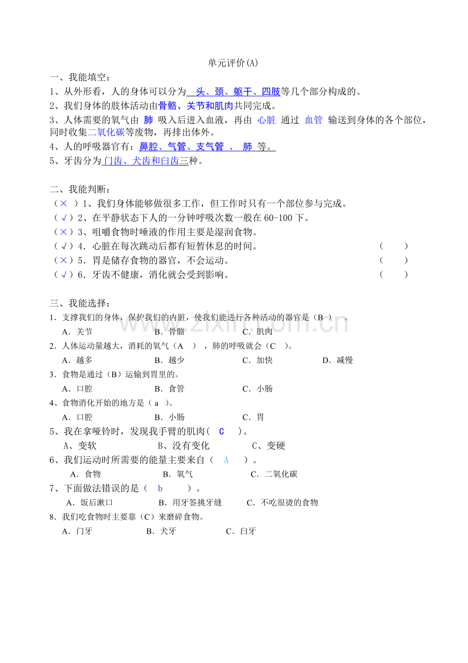 小学科学四上我们的身体(练习答案).doc_第3页