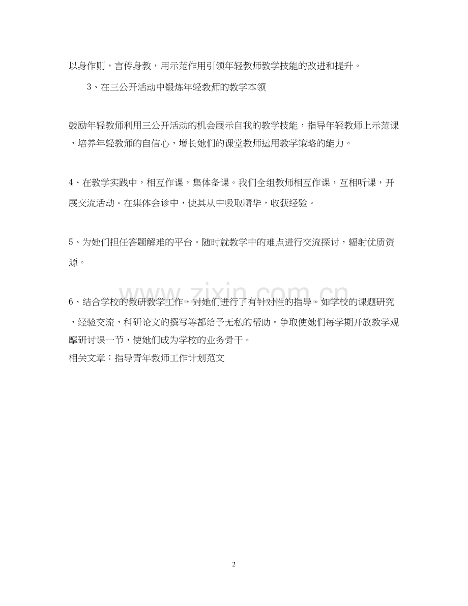 骨干教师指导青年教师工作计划范文.docx_第2页