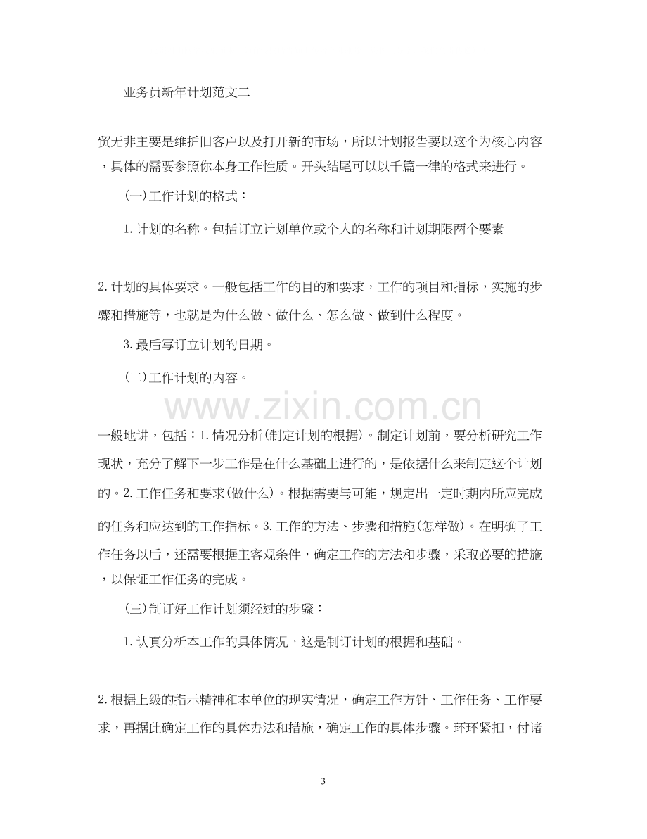 业务员新年计划.docx_第3页