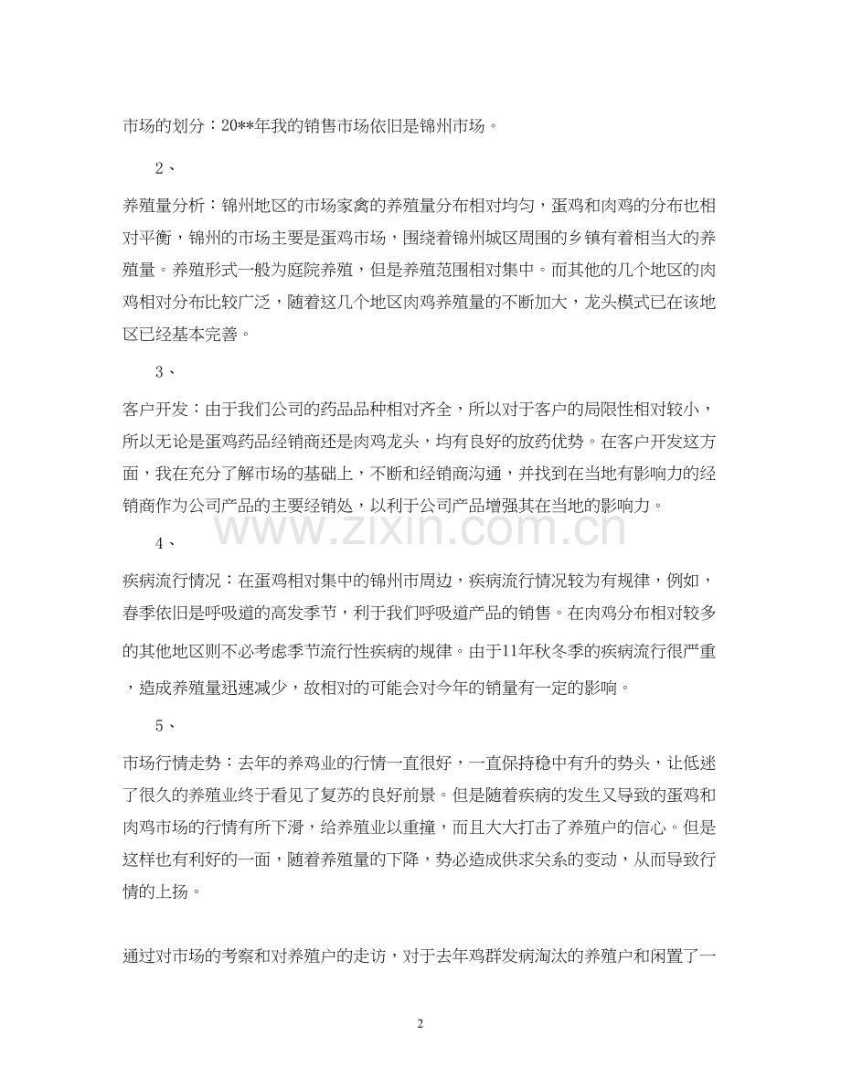 药品销售年度工作计划范文.docx_第2页