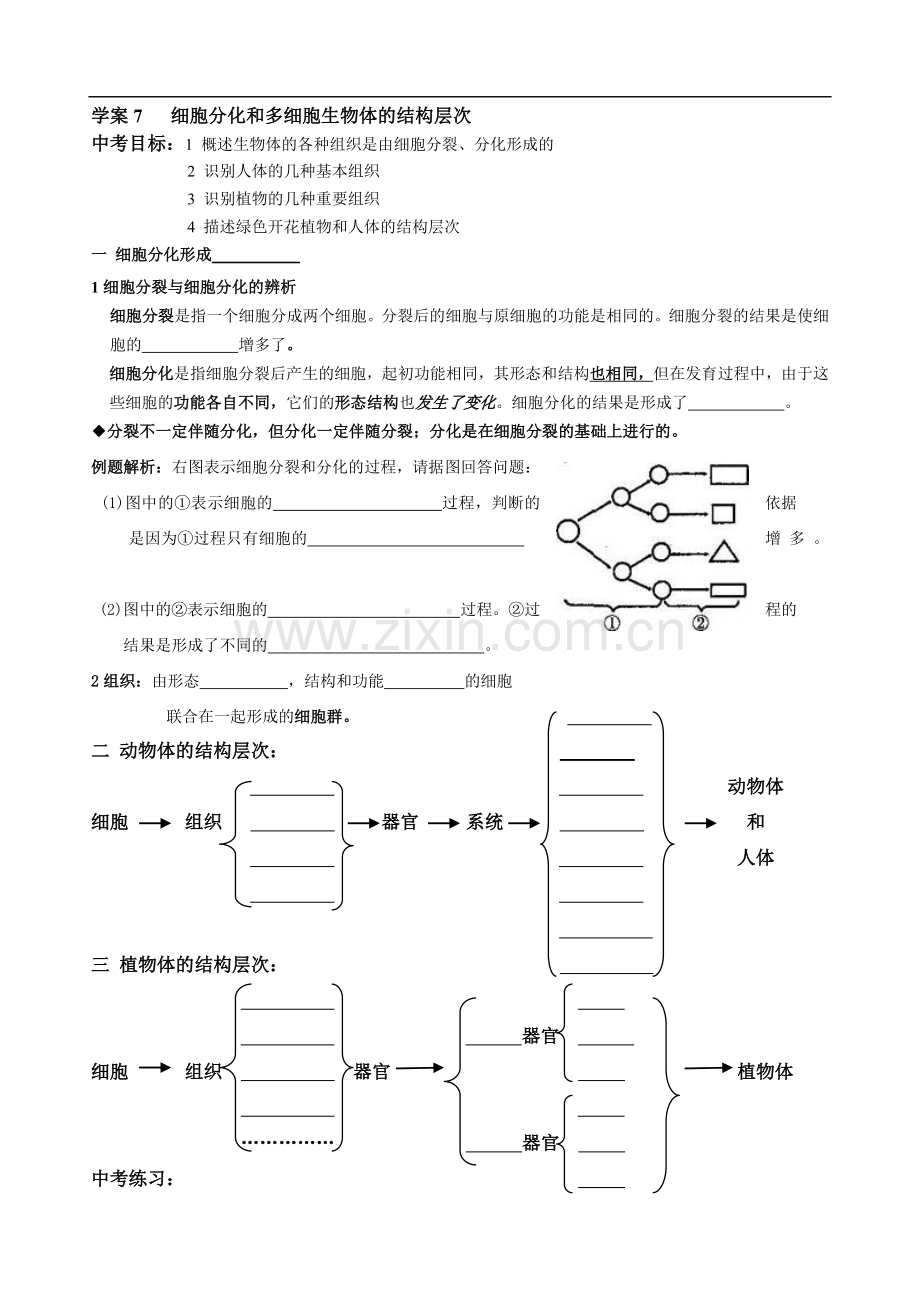 学案7---细胞分化及多细胞生物体结构层次.doc_第1页