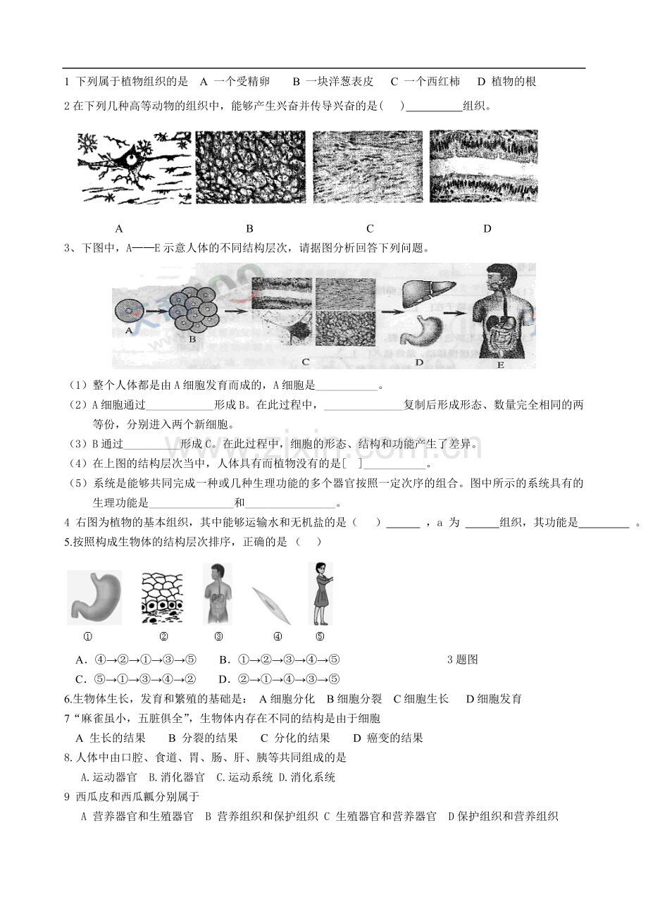 学案7---细胞分化及多细胞生物体结构层次.doc_第2页