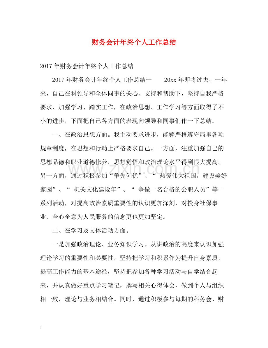 财务会计年终个人工作总结2.docx_第1页