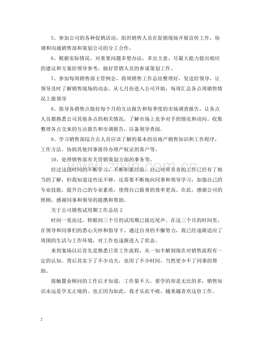 关于公司销售试用期工作总结.docx_第2页