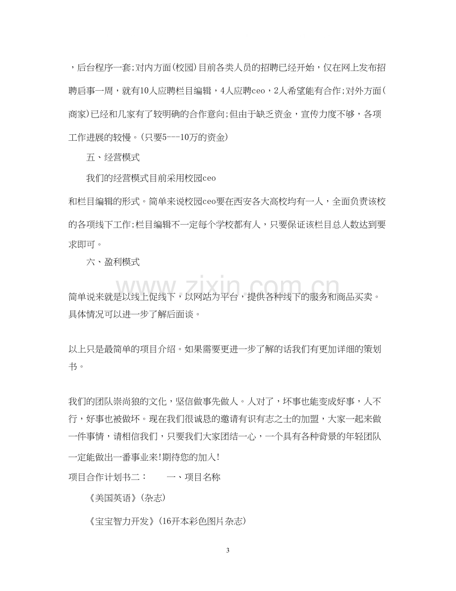 网站企业项目合作计划书范文.docx_第3页