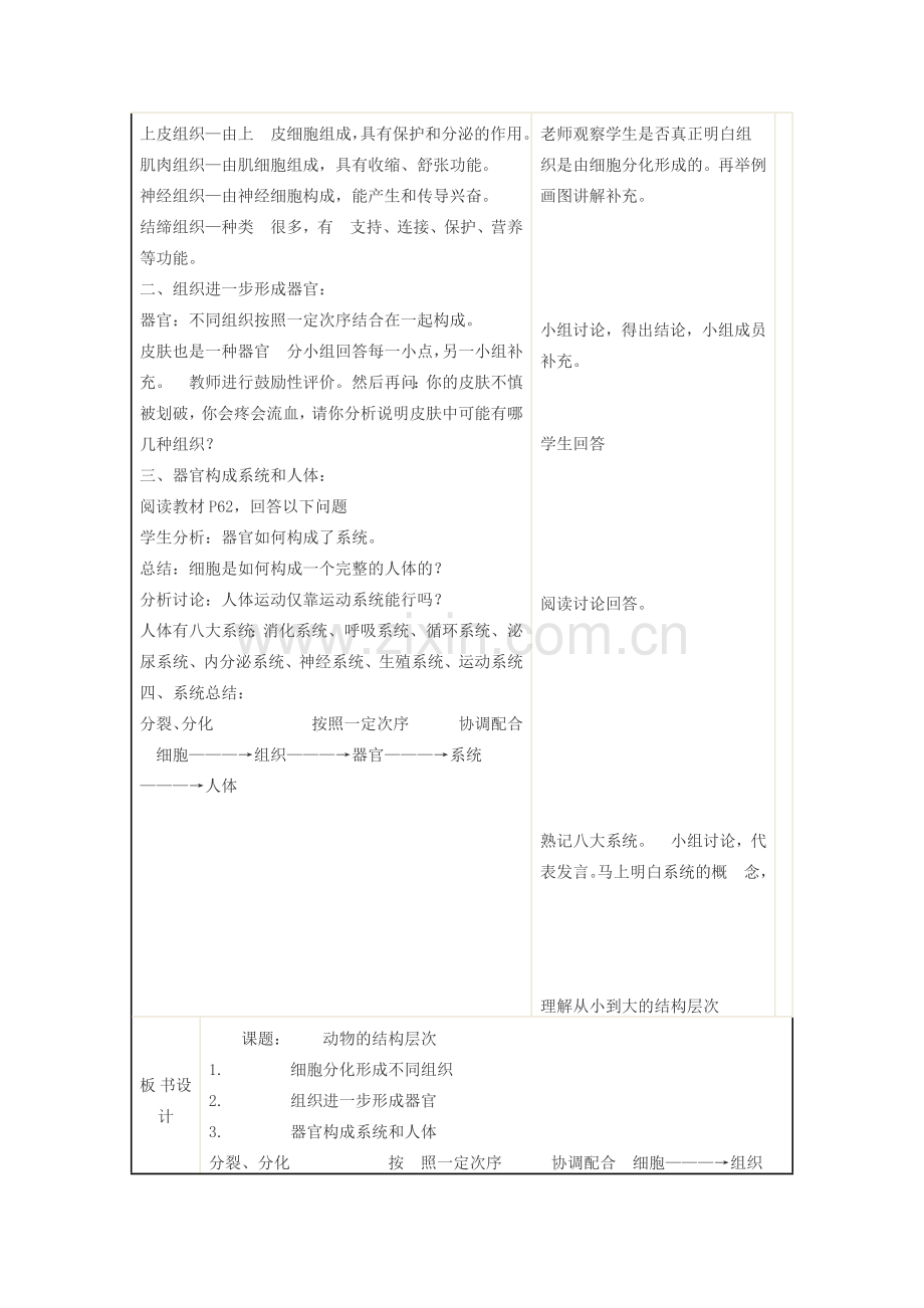 七年级生物上册 第二单元 生物体的结构层次第二章 细胞怎样构成生物体第二节 动物体的结构层次教案 （新版）新人教版-（新版）新人教版初中七年级上册生物教案.doc_第3页