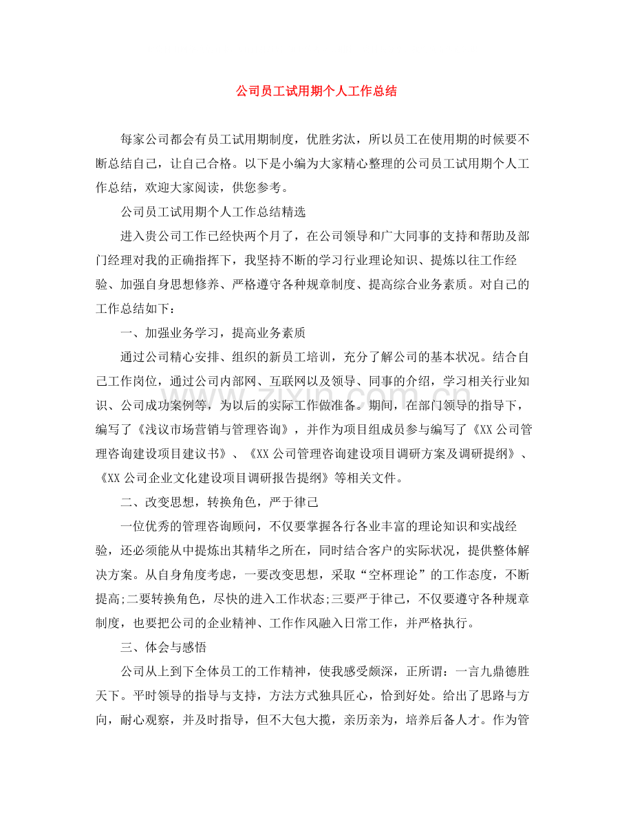 公司员工试用期个人工作总结.docx_第1页