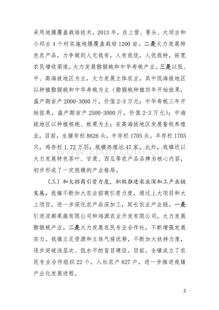 乡镇农业产业化建设工作情况汇报.doc_第3页