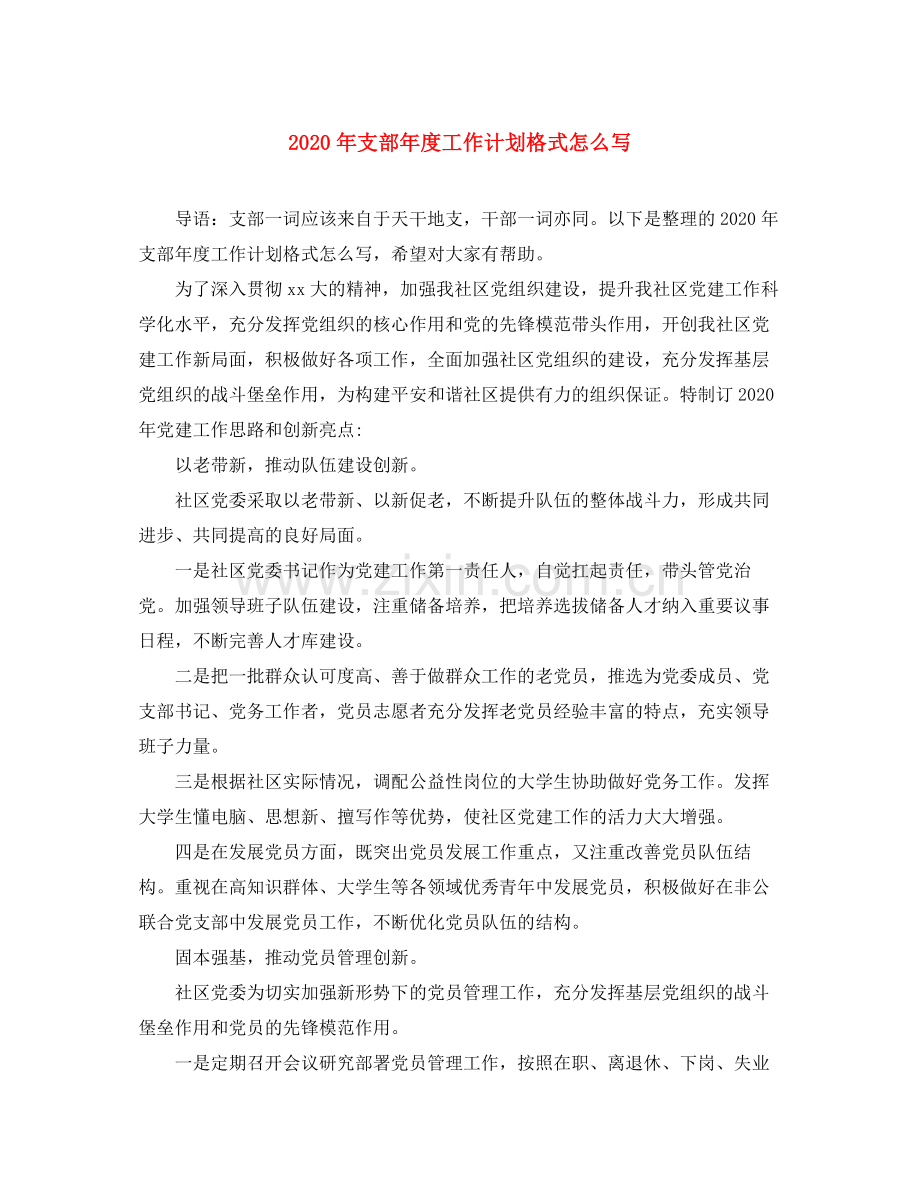 2020年支部年度工作计划格式怎么写.docx_第1页