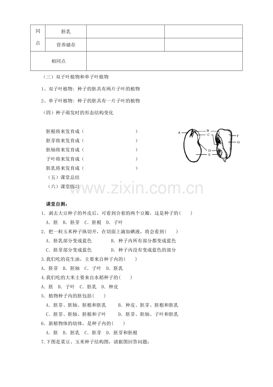 七年级生物上册 3.6.1 种子萌发形成幼苗 种子都有种皮和胚学案（无答案） 北师大版.doc_第2页