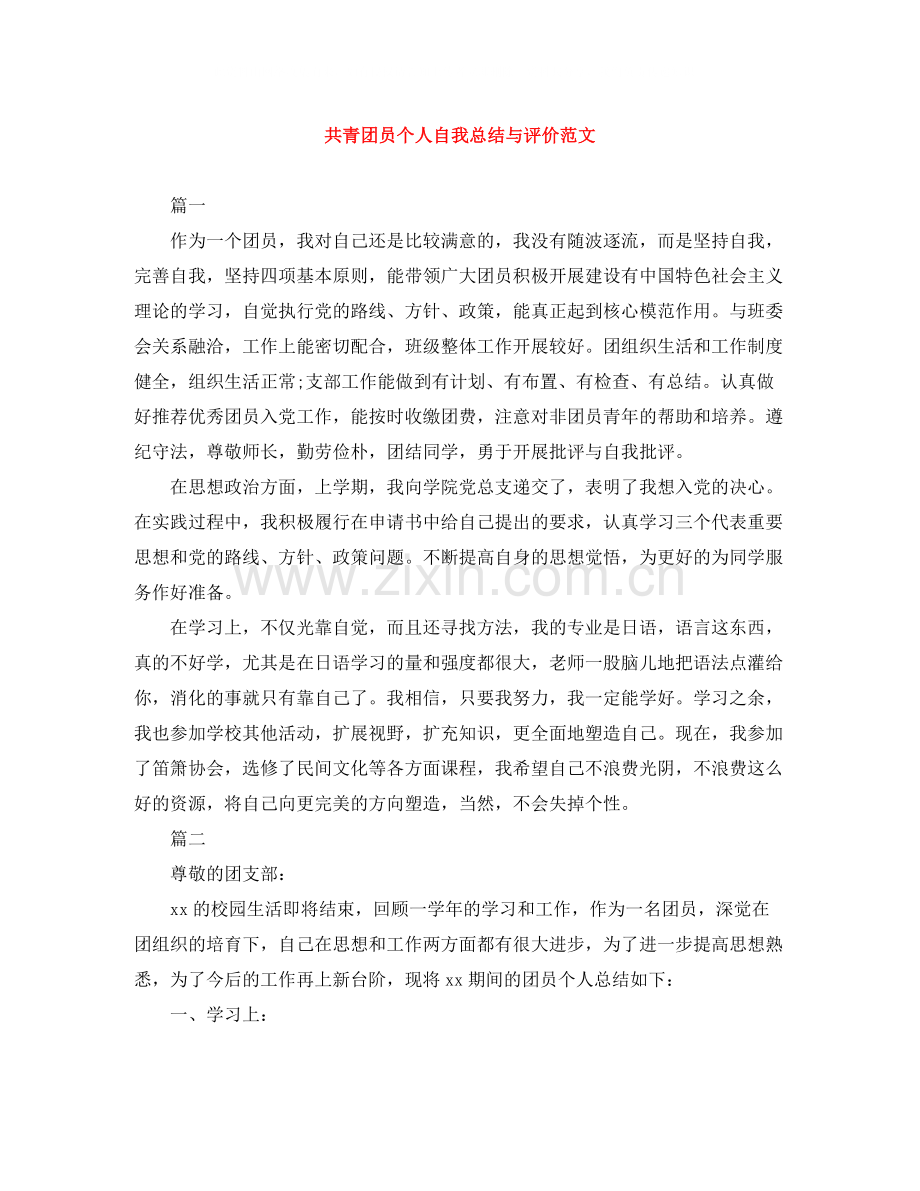 共青团员个人自我总结与评价范文.docx_第1页