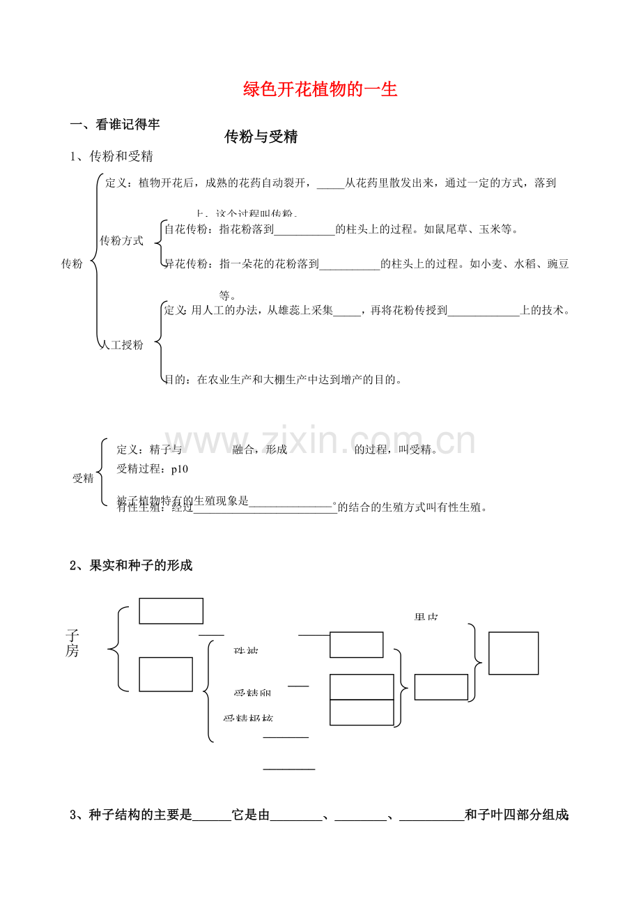 七年级生物上册 第三单元 第五章 绿色植物的一生复习教案 （新版）苏教版-（新版）苏教版初中七年级上册生物教案.doc_第1页