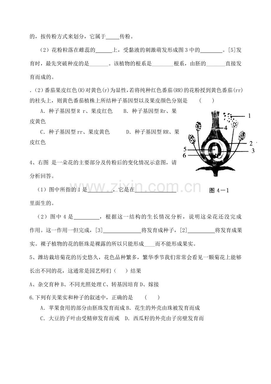 七年级生物上册 第三单元 第五章 绿色植物的一生复习教案 （新版）苏教版-（新版）苏教版初中七年级上册生物教案.doc_第3页