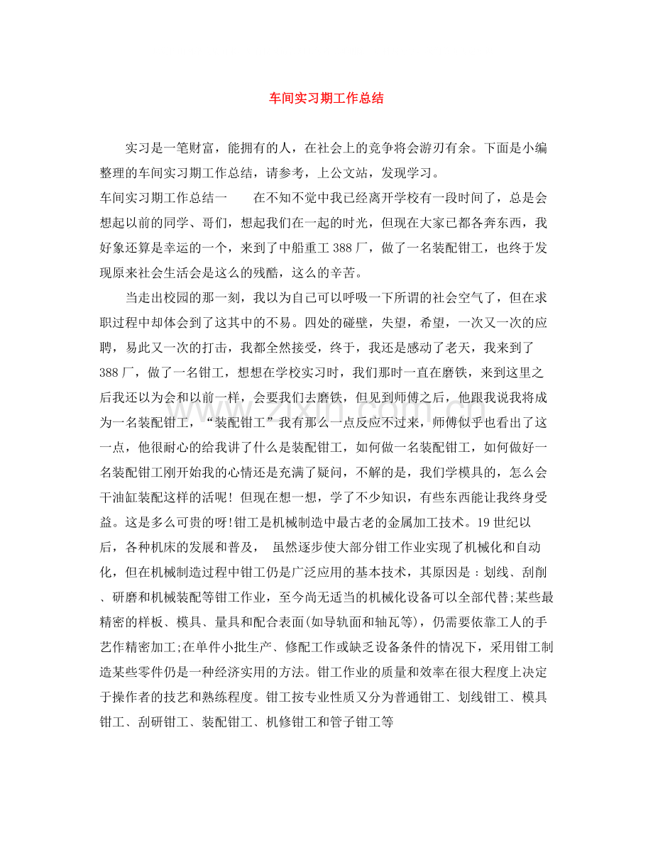 车间实习期工作总结.docx_第1页