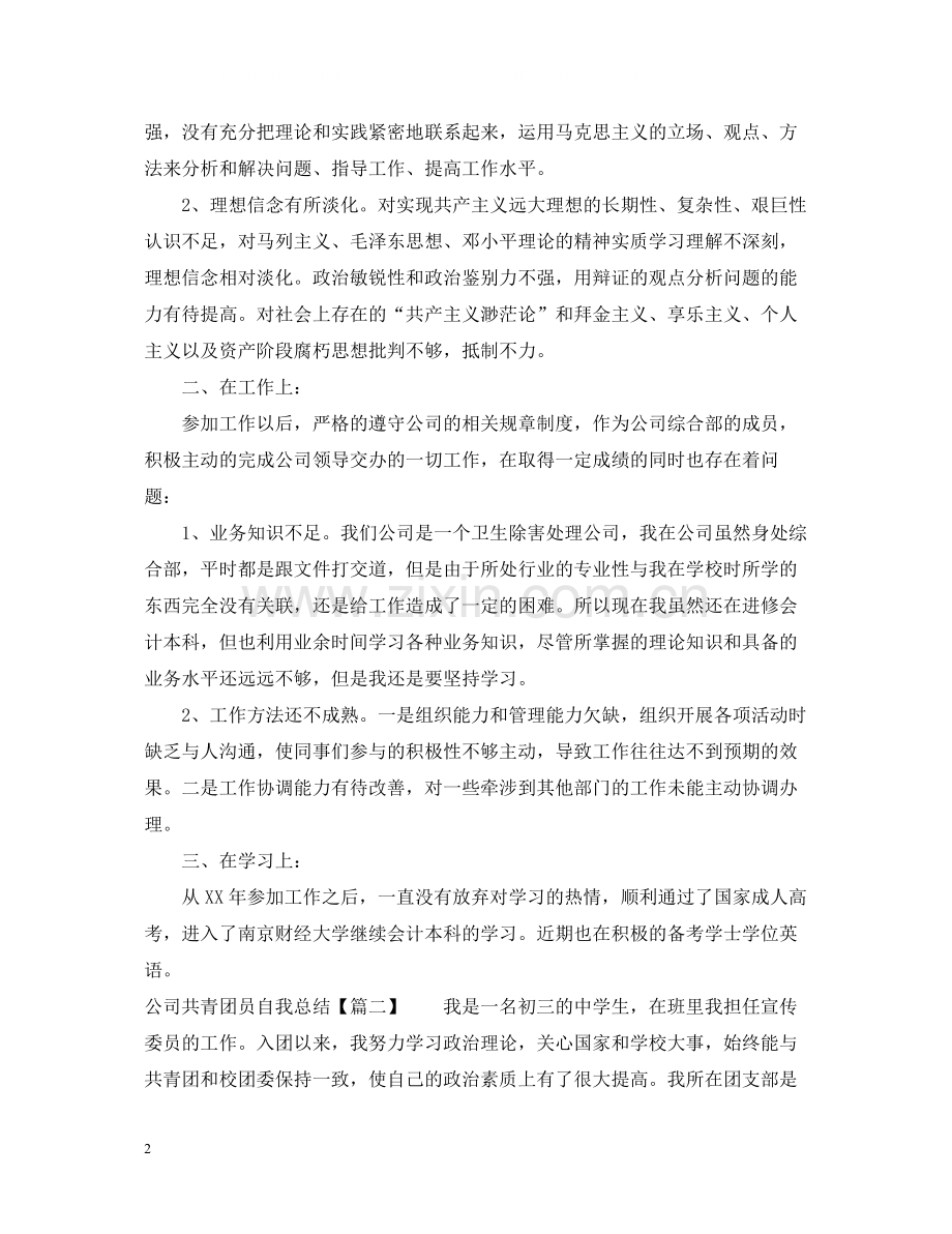 公司共青团员自我总结.docx_第2页