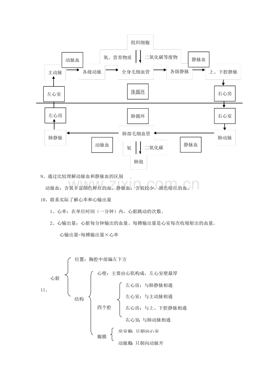 七年级生物下册 第二单元 第二章《爱护心脏 确保运输》教案 （新版）冀教版-（新版）冀教版初中七年级下册生物教案.doc_第2页