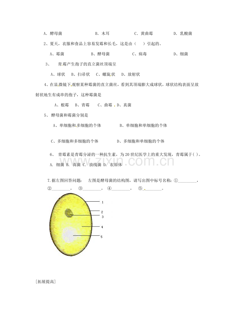 七年级生物上册 第二单元 第三章 第三节真菌教案 济南版.doc_第3页