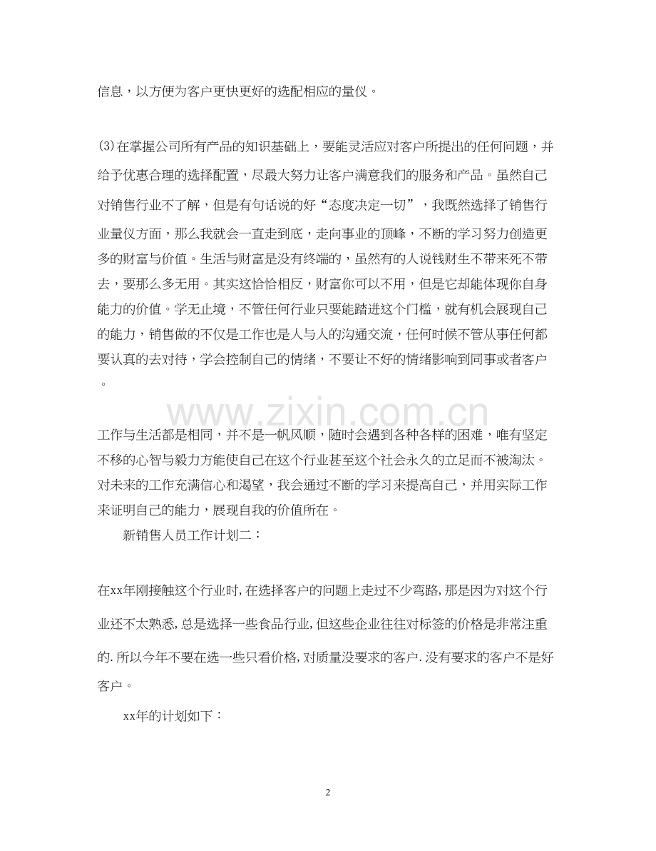 新销售人员工作计划3篇.docx_第2页