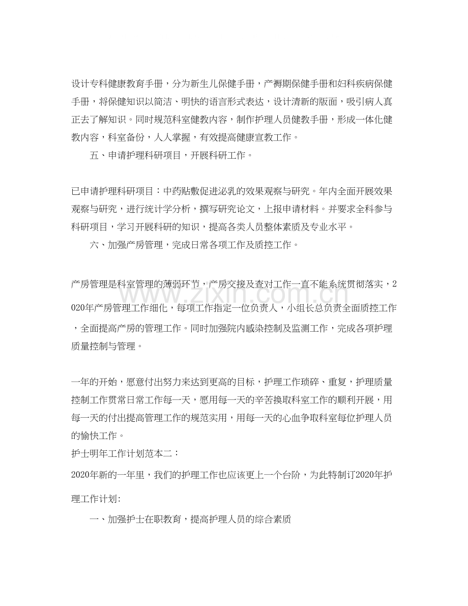 护士明年工作计划范本.docx_第2页