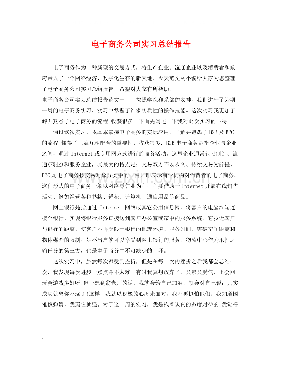 电子商务公司实习总结报告.docx_第1页