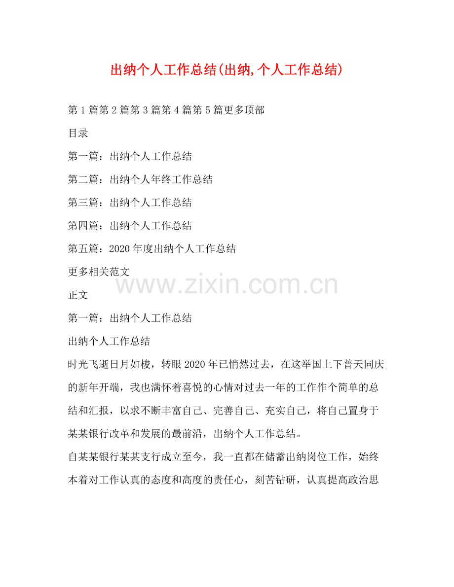 出纳个人工作总结出纳个人工作总结).docx_第1页