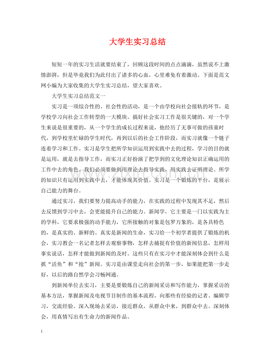 大学生实习总结2.docx_第1页