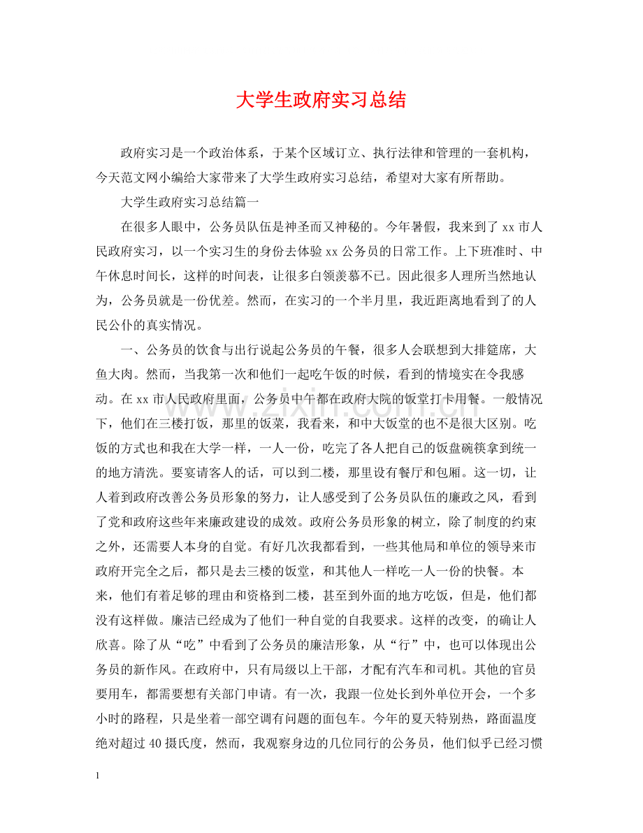 大学生政府实习总结.docx_第1页