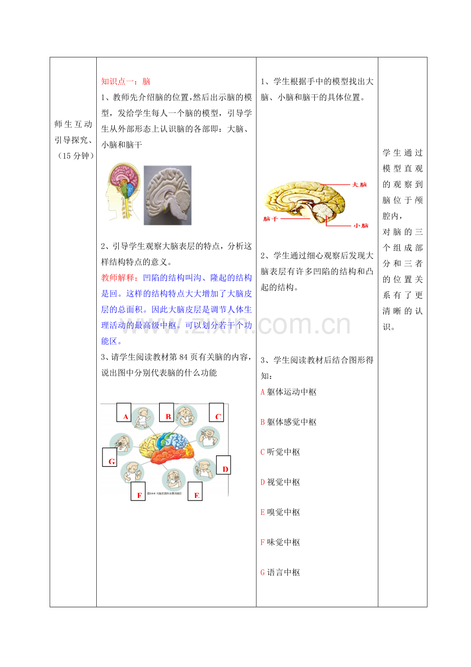 七年级生物下册 第五章 第二节神经调节的结构基础（第3课时）教案（新版）济南版-（新版）济南版初中七年级下册生物教案.doc_第3页