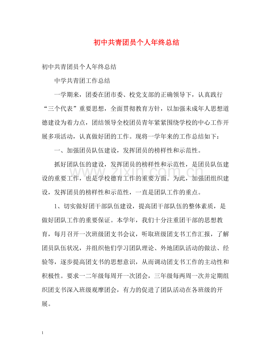 初中共青团员个人年终总结2).docx_第1页