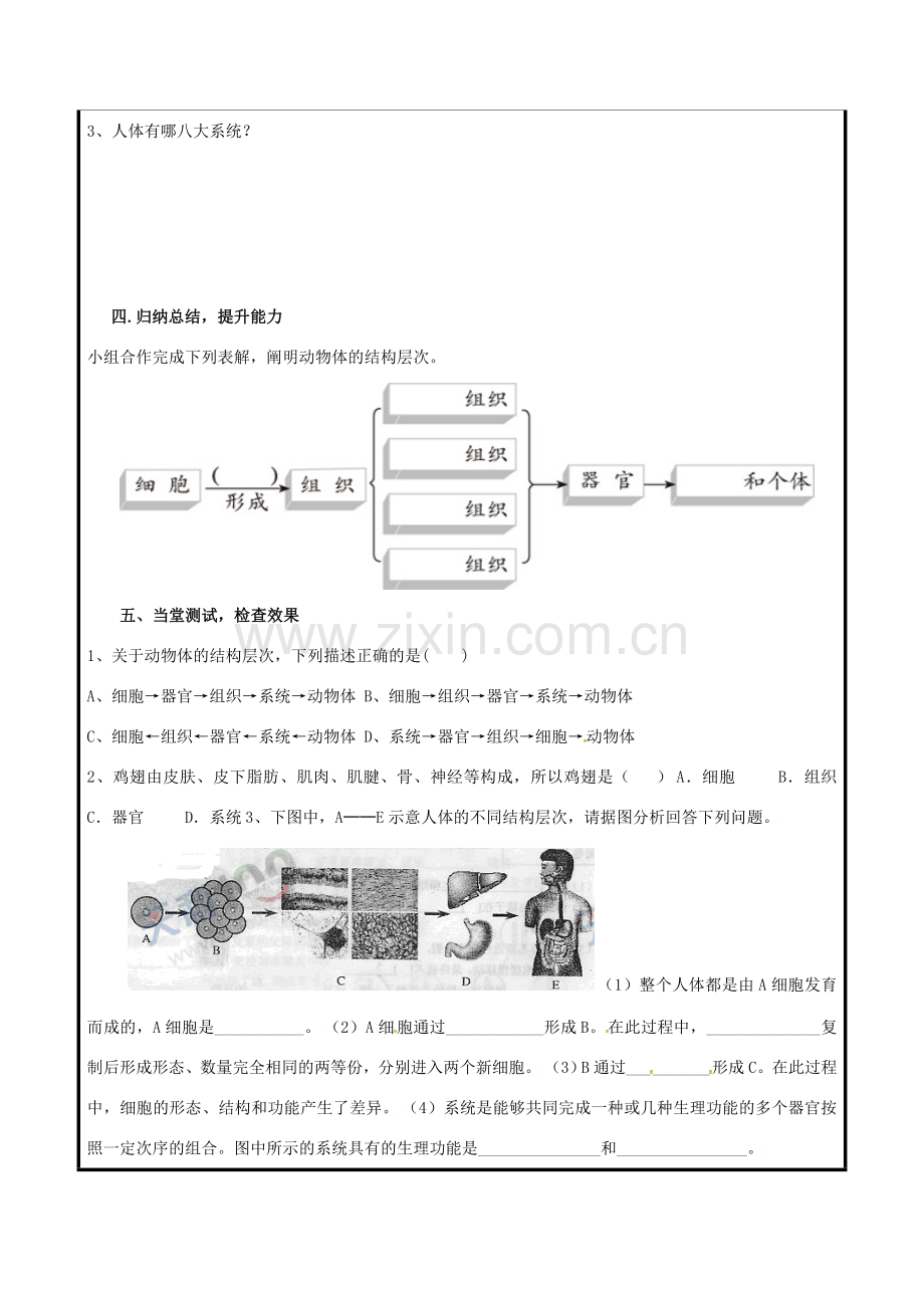 七年级生物上册 2.2.2 动物结构层次教案2 （新版）新人教版-（新版）新人教版初中七年级上册生物教案.doc_第2页