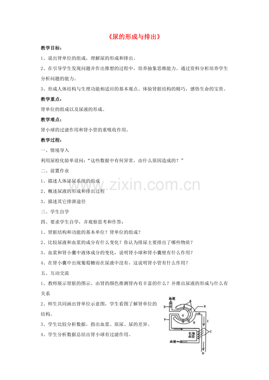 七年级生物下册 第11章 第二节 尿的形成与排出教案1 北师大版.doc_第1页